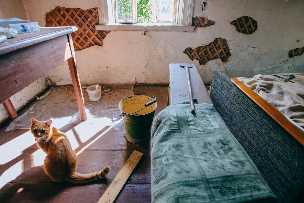 Les tendances 2021 en matière de revêtements de sol pour vos travaux de rénovation