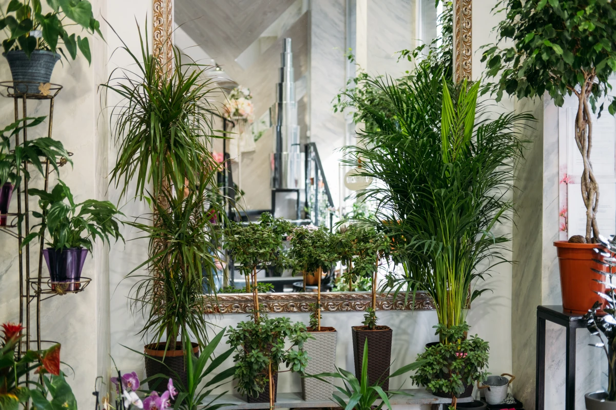 Les tendances en matière de décoration intérieure pour augmenter la valeur locative