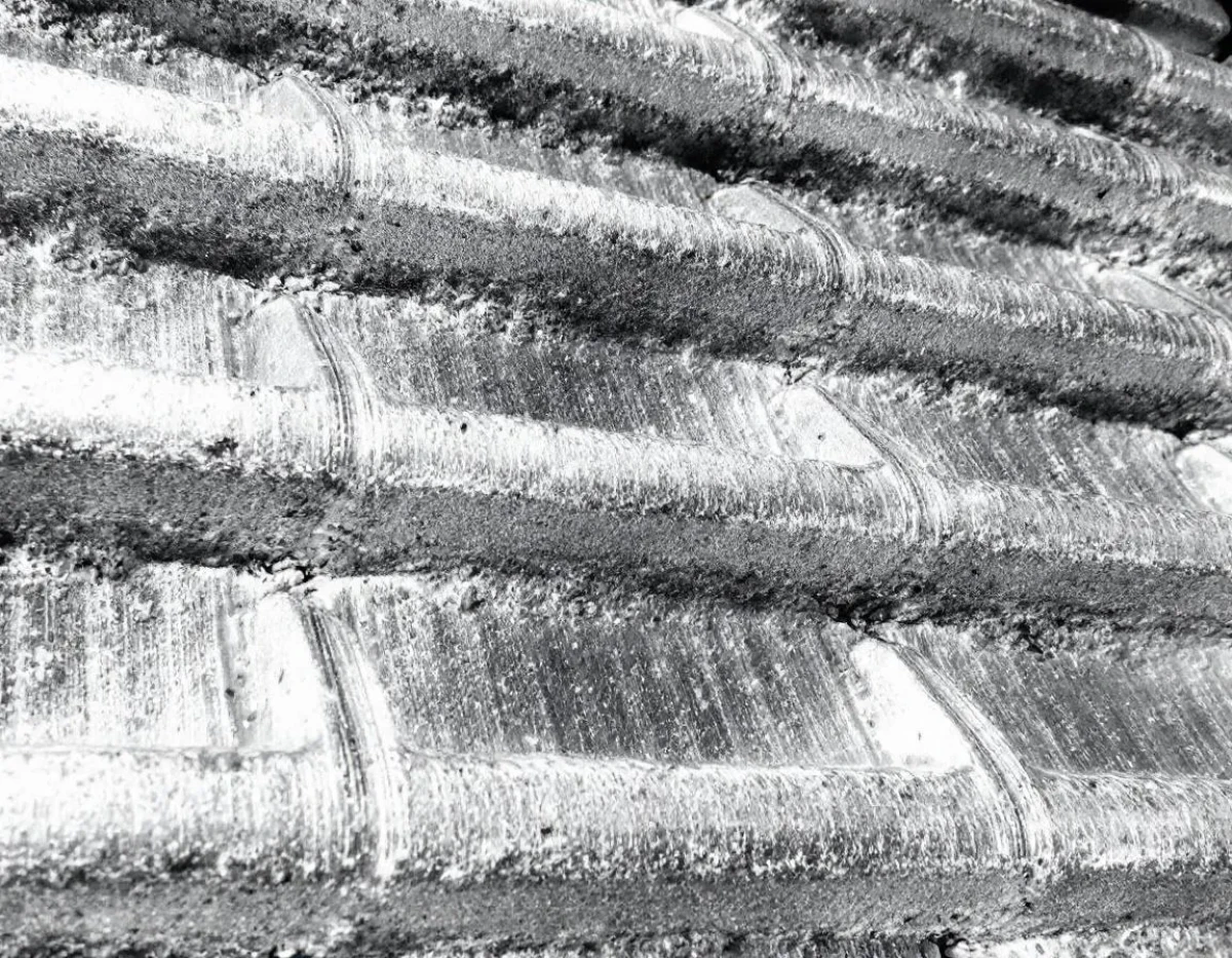 Les Avantages de la Toiture en Zinc pour 2025 : Protection Durable Sans Entretien
